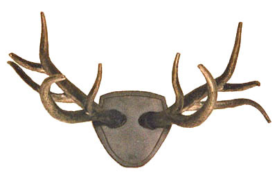 Antler Rack