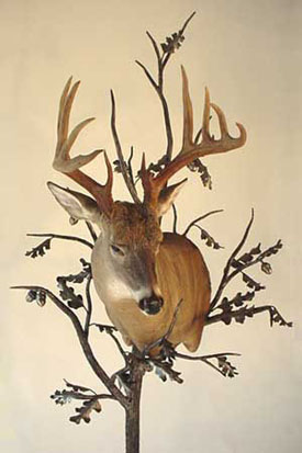 Deer Mount Tree Stand