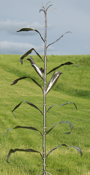Corn Stalk