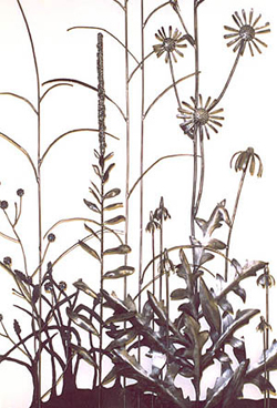 Detail - Compass Plant, Mullen, Big Blue Stem, Chicory, Purple and Prairie Cone