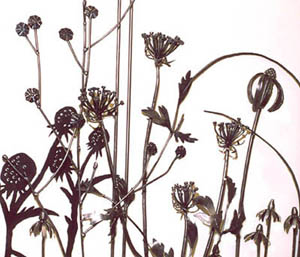 Detail - Queen Anne's Lace, Chicory, Purple and Prairie Cone Flower