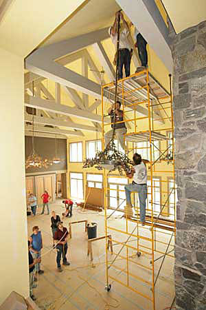 Gingko Chandelier