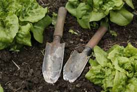 Garden Trowels